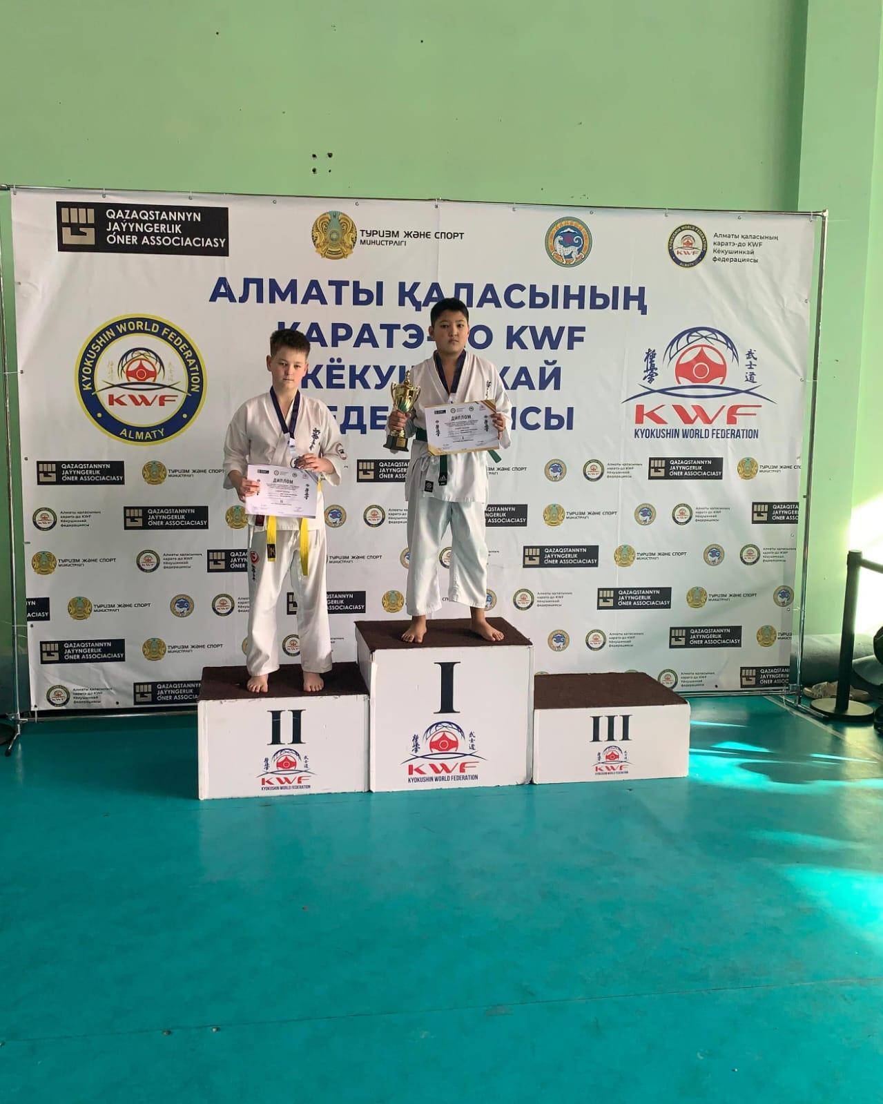 Спорт жетістіктері/Спортивные достижения