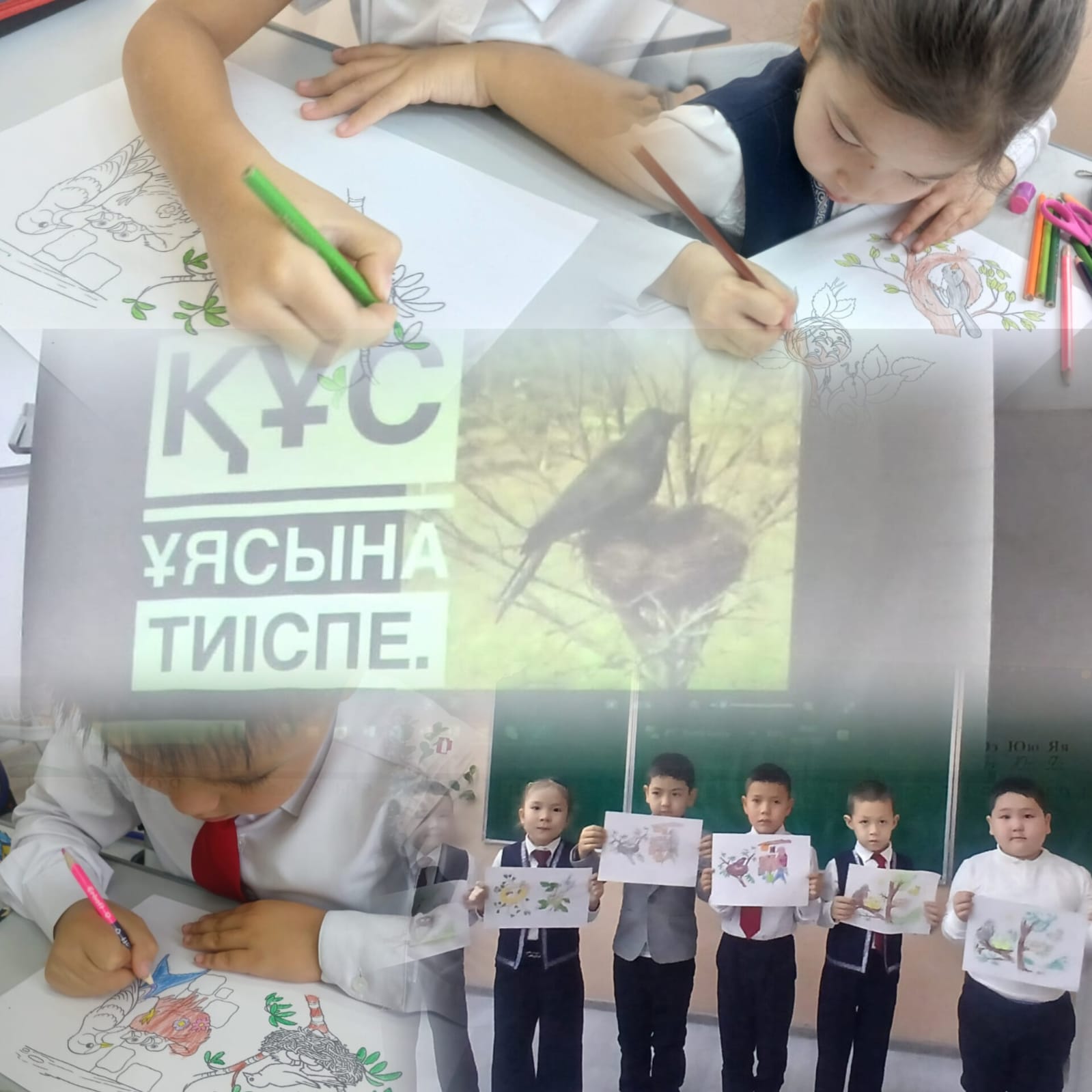 В 1 «Ә» классе прошёл классный час на тему «Не забывайте: не разрушайте птичьи гнёзда»